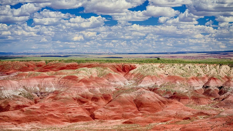 Le désert peint du nord de l'Arizona dans le parc national de la forêt pétrifiée
