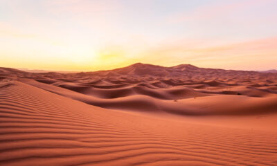 Eh bien en fait, le Sahara n'est pas le plus grand désert du monde