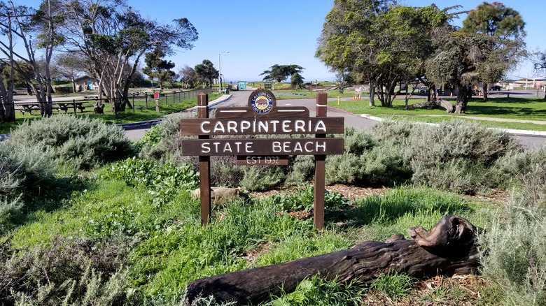 Panneau de plage d'État de Carpinteria en bois