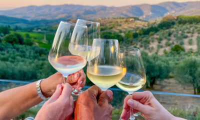 Sonoma vs. Napa: Quelle est la meilleure escapade de la région viticole de Californie en fonction de votre style de voyage