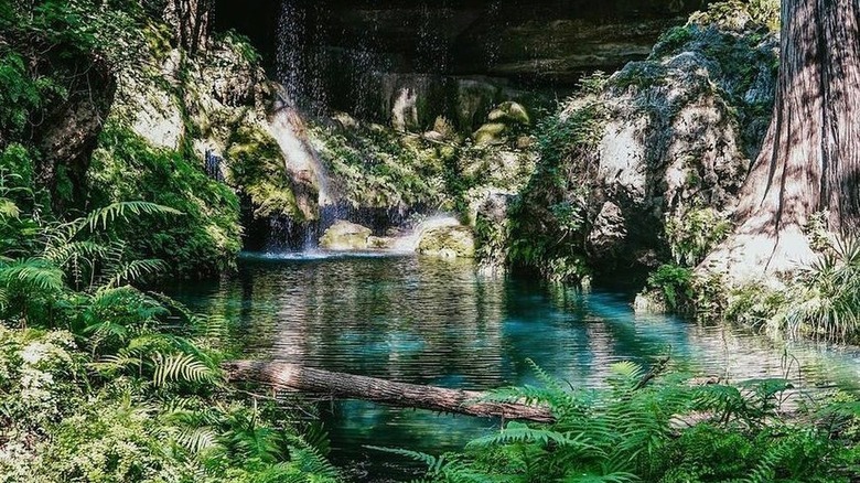 Une piscine au fond de la cascade à Westcave, Texas