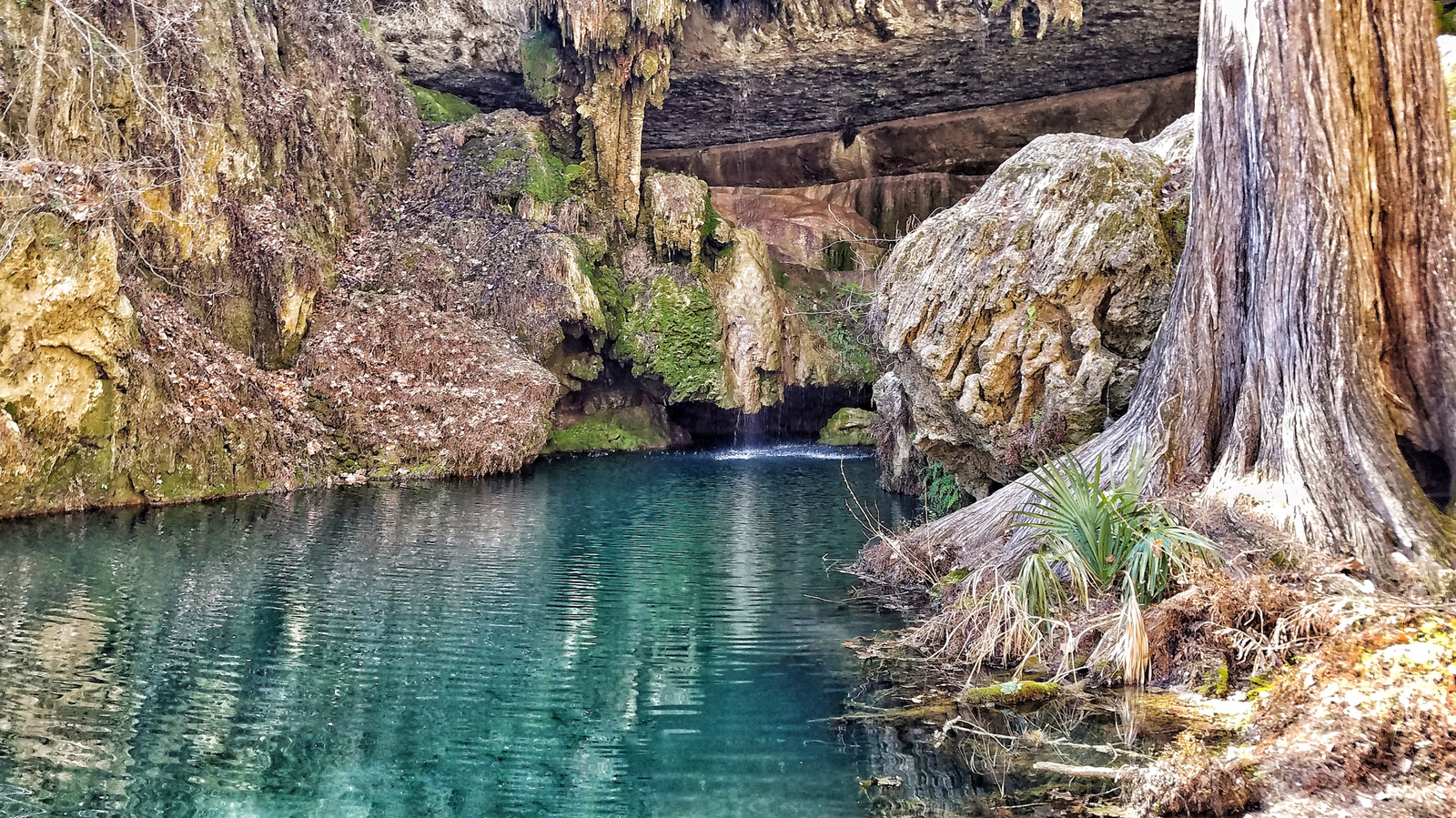 Un joyau caché du Texas propose une excursion de nature pittoresque avec des sentiers de randonnée et une grotte luxuriante