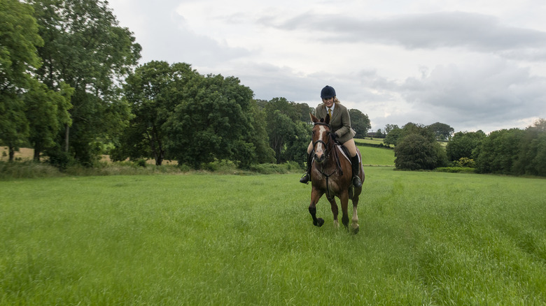 Cavalier féminin dans un champ irlandais