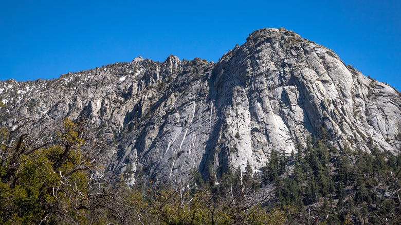 Montagnes à idyllwild