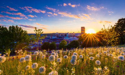 L'une des villes les plus vertes d'Europe est un joyau négligé avec la quantité parfaite de charme urbain