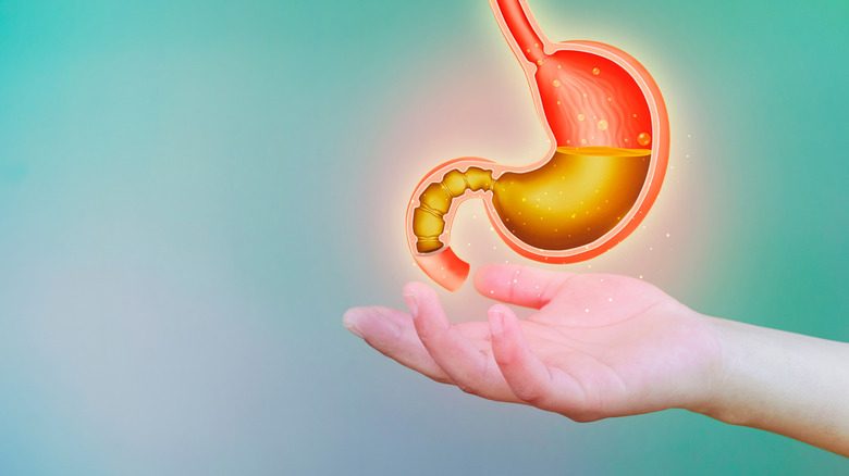 Dessin animé graphique d'un estomac à moitié plein