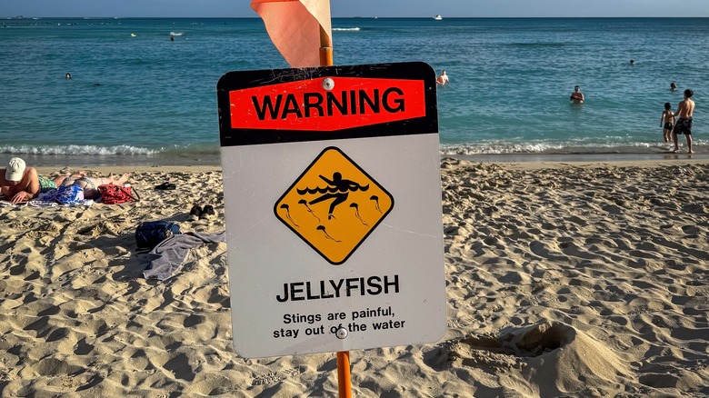 Un signe d'avertissement de méduse à Hawaï