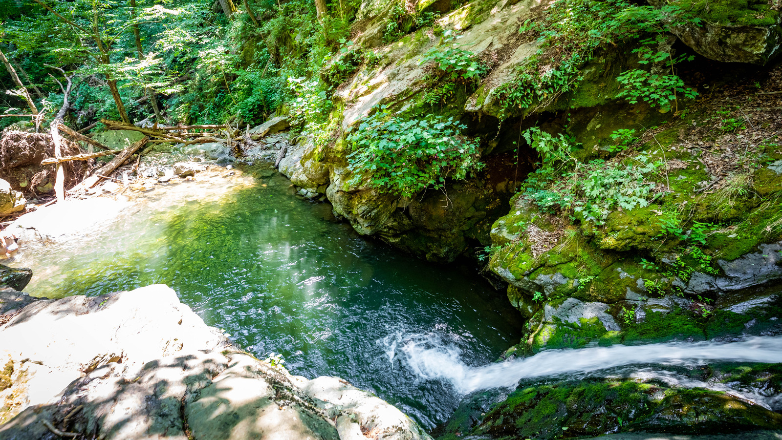 Faites de la randonnée dans un trou de baignade avec une toboggan nautique dans les montagnes pittoresques de Blue Ridge de Virginia