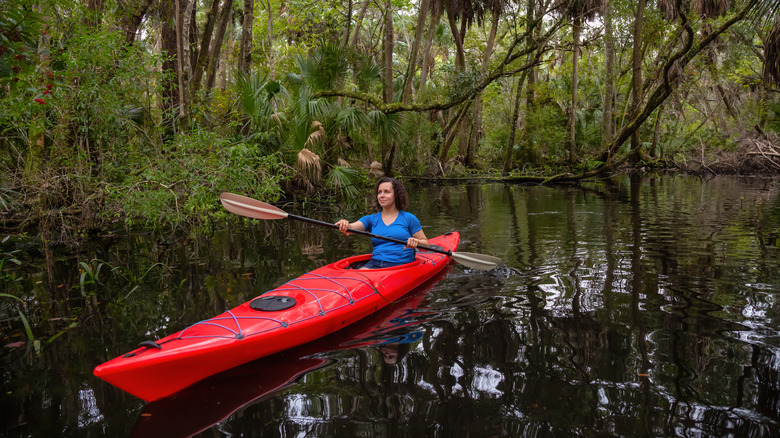 Kayaker aventureux sur une rivière recouverte d'arbres