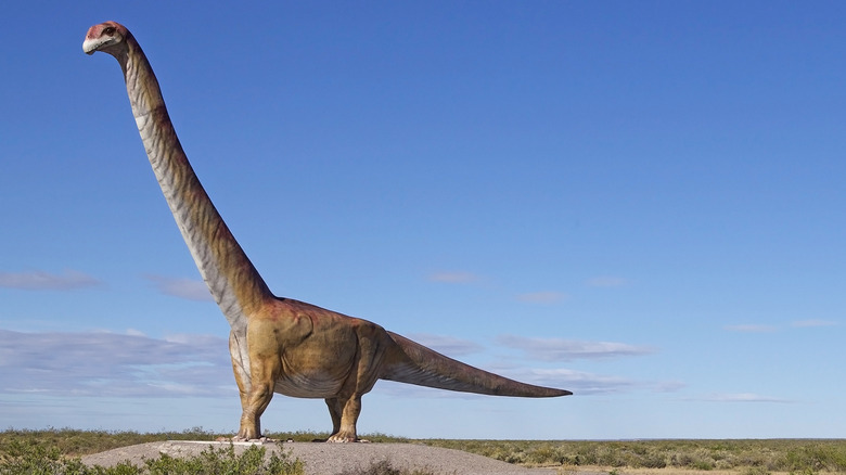 Statue de Mayorum de Patagotitan en Argentine