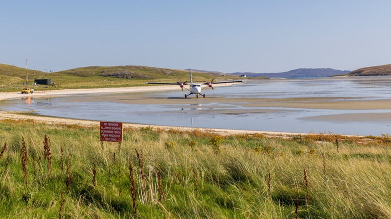 Plan à Track Mhor Beach, île de Barra, Écosse