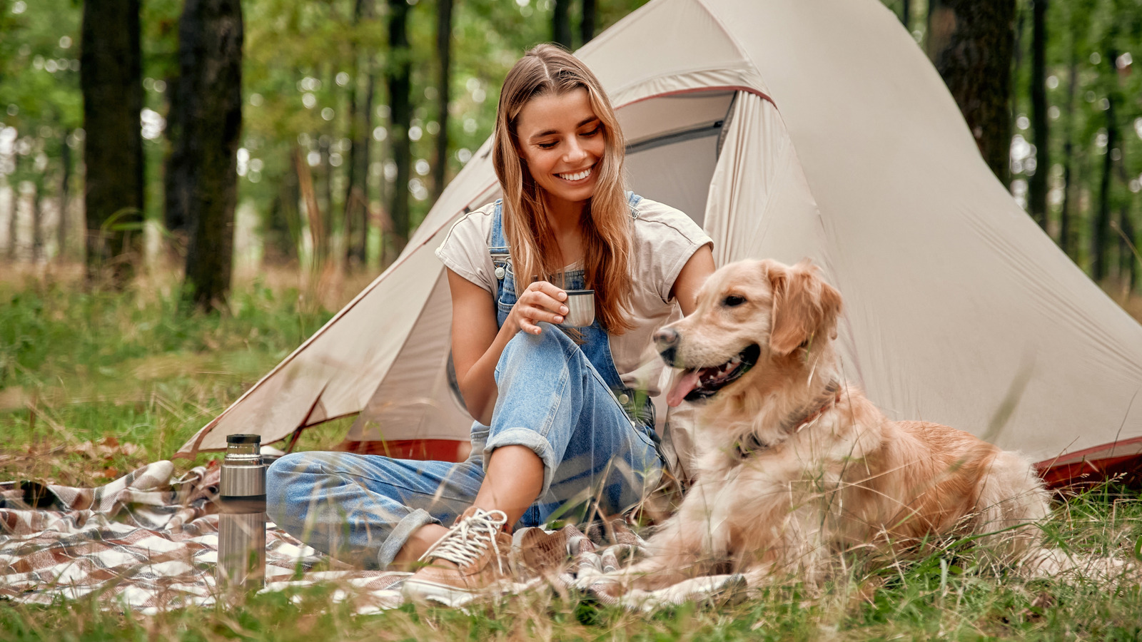 Comment s'amuser le week-end de camping du 4 juillet avec un chien qui déteste les feux d'artifice