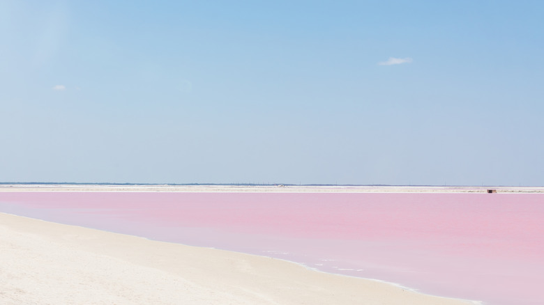 Plage de sable blanc jaune sur un lac rose