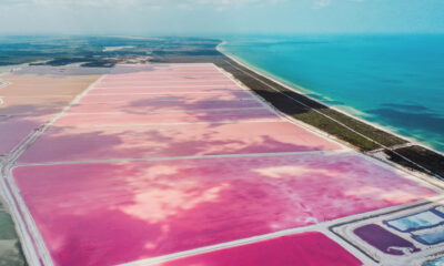 Le lac le plus fascinant du Mexique se sent d'un autre monde avec un dynamisme rose bubblegum brillant