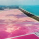 Le lac le plus fascinant du Mexique se sent d'un autre monde avec un dynamisme rose bubblegum brillant