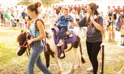 Découvrez pourquoi Clay County est un favori parmi les familles de Floride