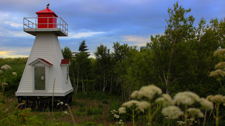 Petit léger dans les bois près de Parlee Beach New Brunswick