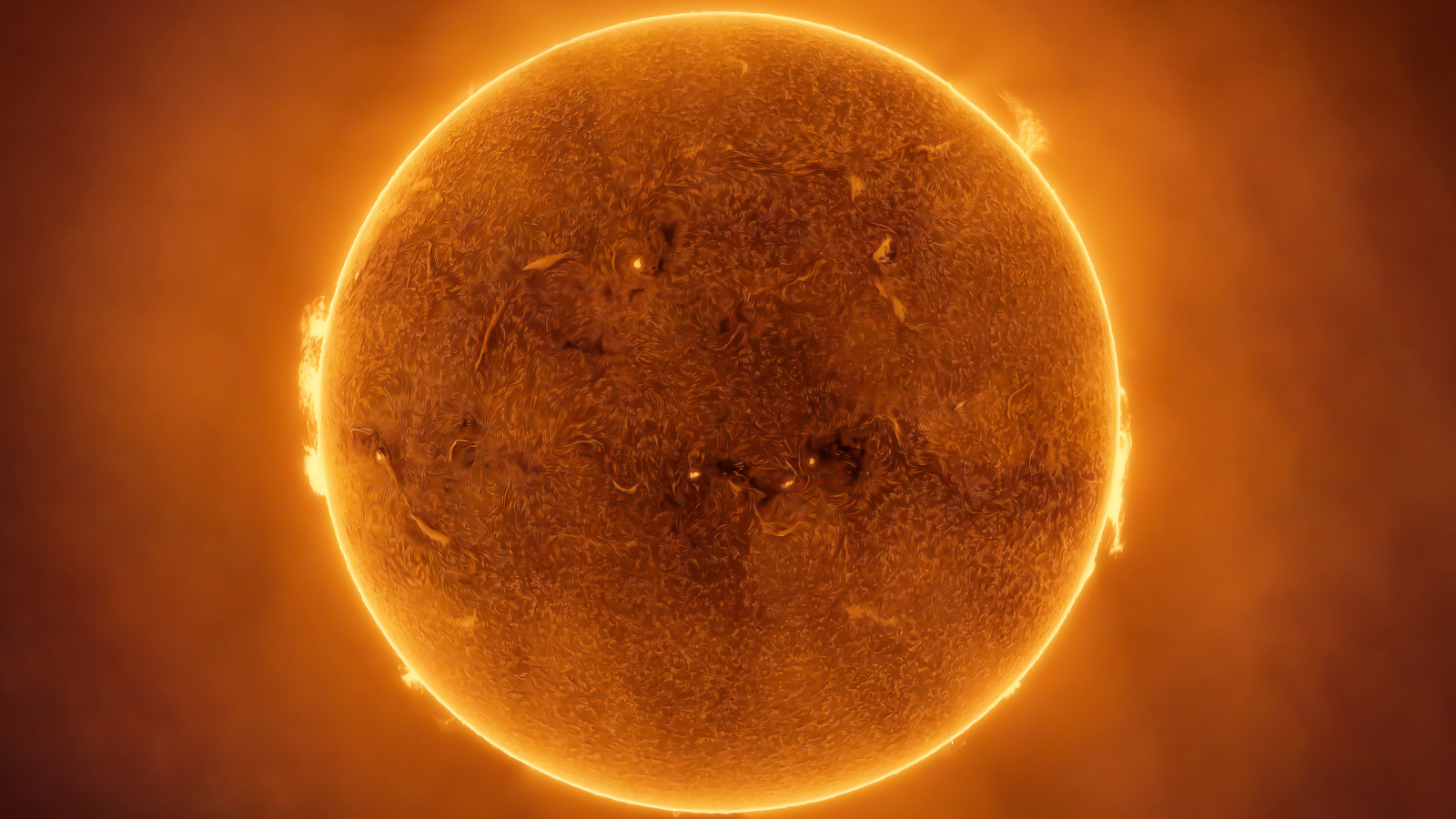 Comment les scientifiques ont prédit l'année exacte que toute vie sur terre se terminera