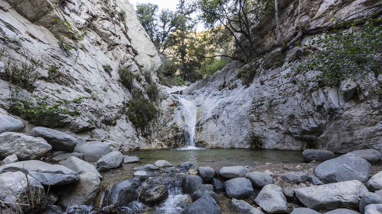 Switzer tombe dans les montagnes de San Gabriel