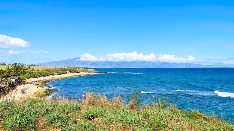 Vue de belvédères sur la plage hawaïenne et l'océan
