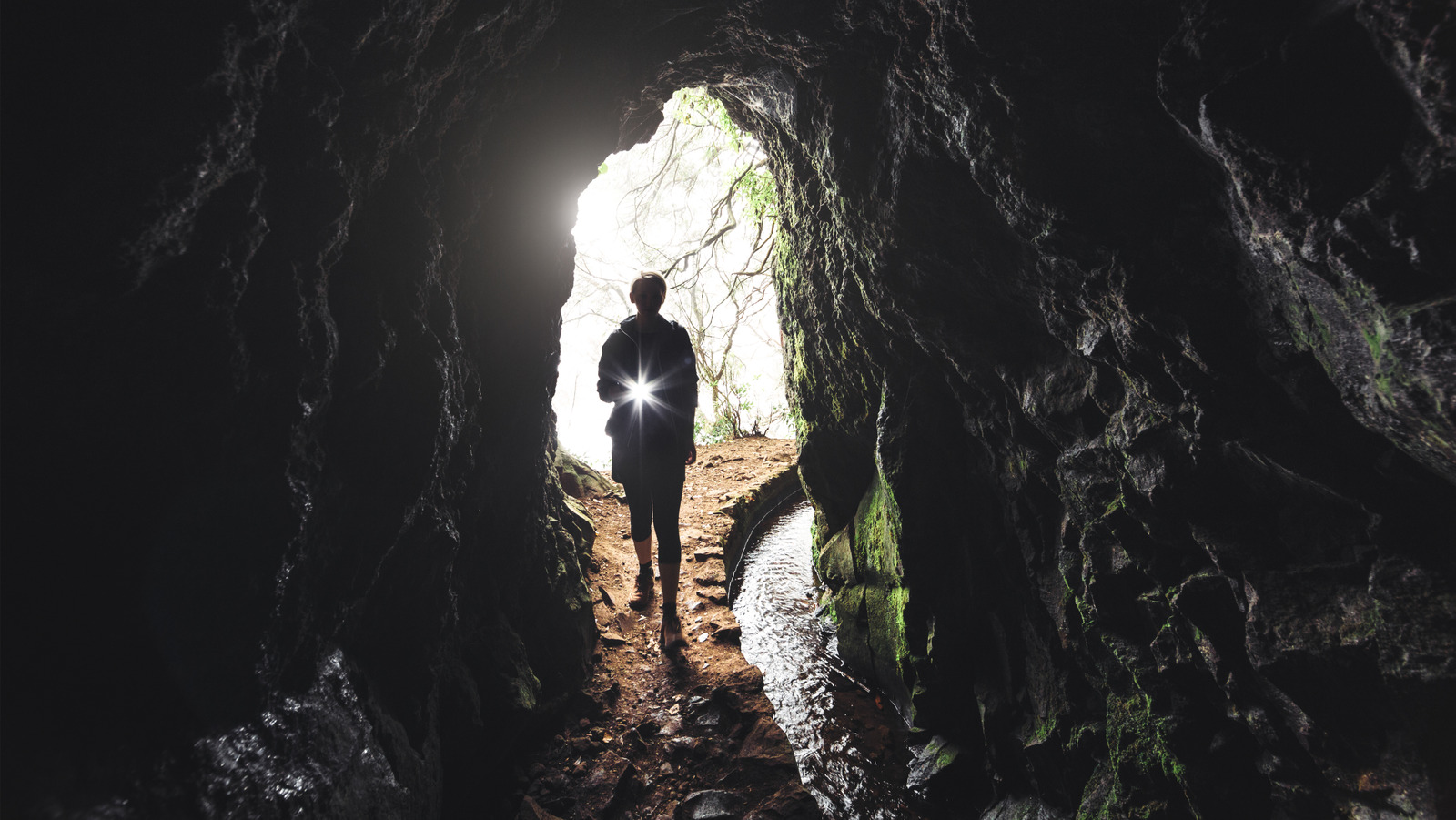 Le danger caché qui vous fera réfléchir à deux fois