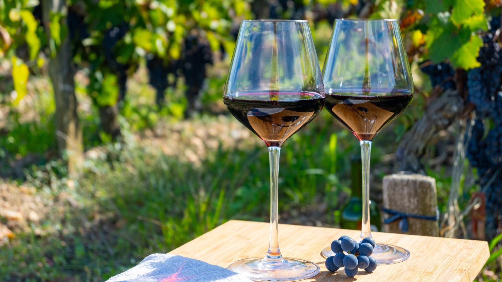 Le vignoble moins connu de Bordeaux est un site ancien offrant des dégustations de vin sublimes