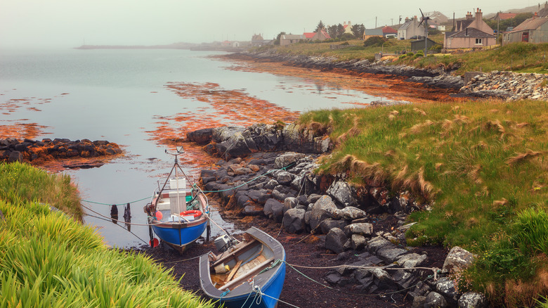Les bateaux sont attachés dans une entrée à Berneray, en Écosse,