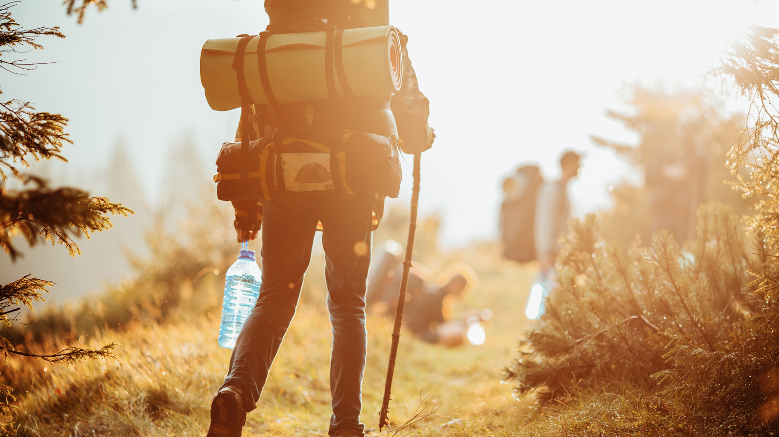 Les randonneurs vétérans jurent par un équipement inattendu que vous pouvez acheter dans n'importe quel dépanneur