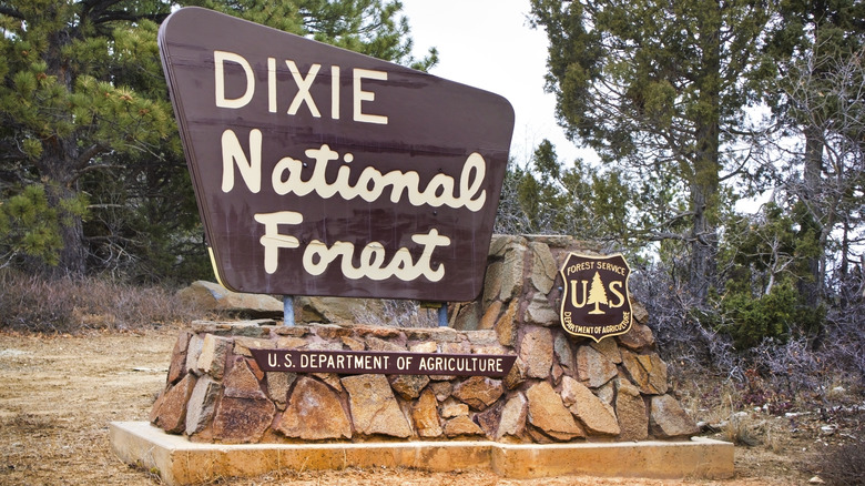 Panneau marquant l'entrée de la forêt nationale de Dixie