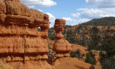 Une forêt nationale massive dans l'Utah offre des vues, des loisirs et un feuillage parfaits