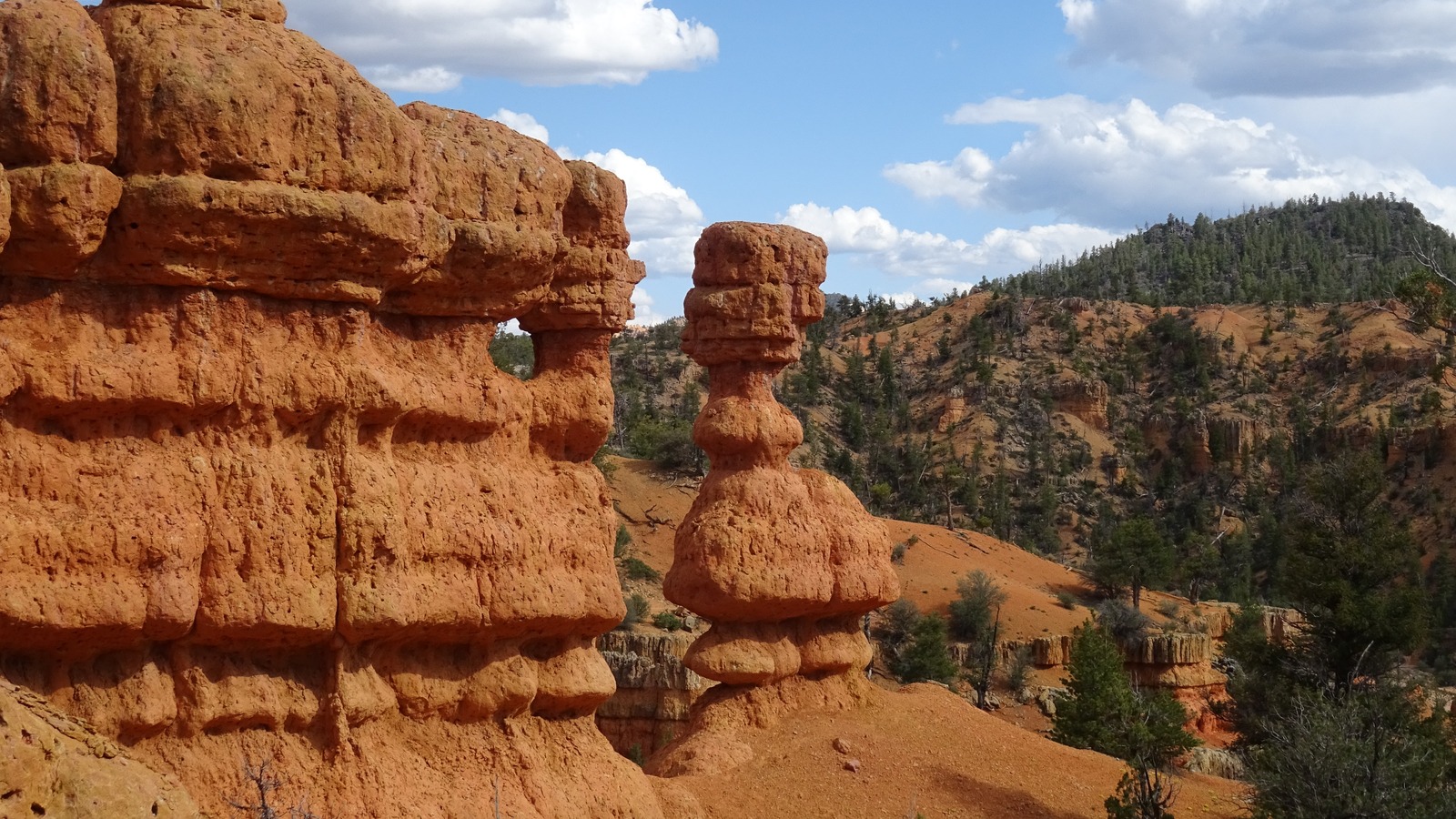 Une forêt nationale massive dans l'Utah offre des vues, des loisirs et un feuillage parfaits