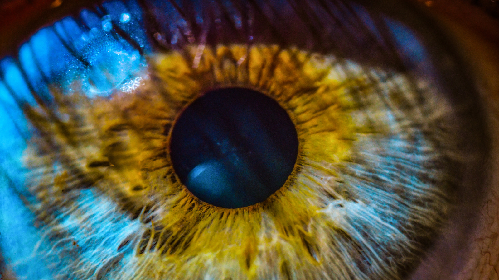 Que voient totalement les aveugles? Ce n'est pas ce que tu penses