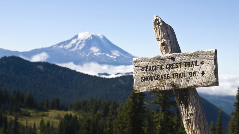 Un panneau marque le Pacific Crest Trail dans l'État de Washington