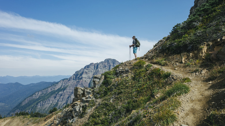 Un randonneur regarde les montagnes sur le Pacific Crest Trail