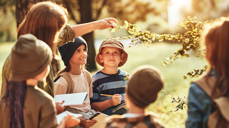 instructeur et groupe d'enfants qui étudient la vie végétale