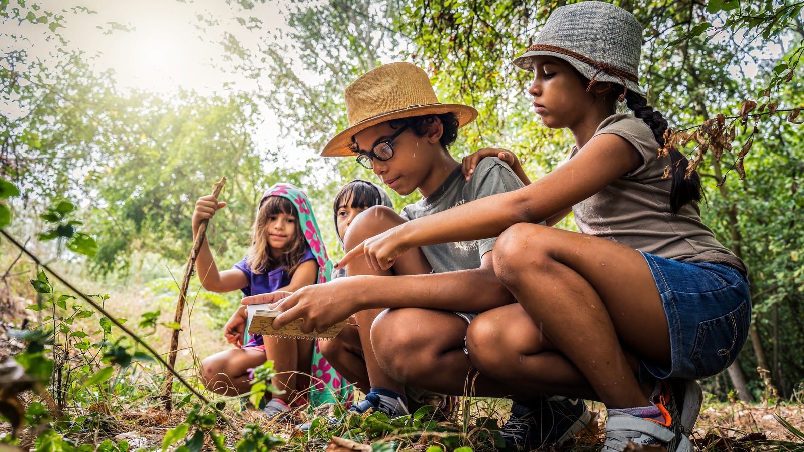 Les enfants peuvent apprendre ce que cela signifie d'être un ranger du parc avec ce programme de parc national amusant