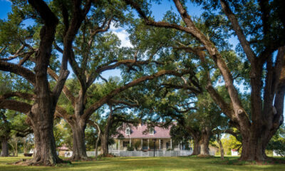 «City of Lights» de la Louisiane possède un centre-ville historique plein de charme de bayou à l'ancienne