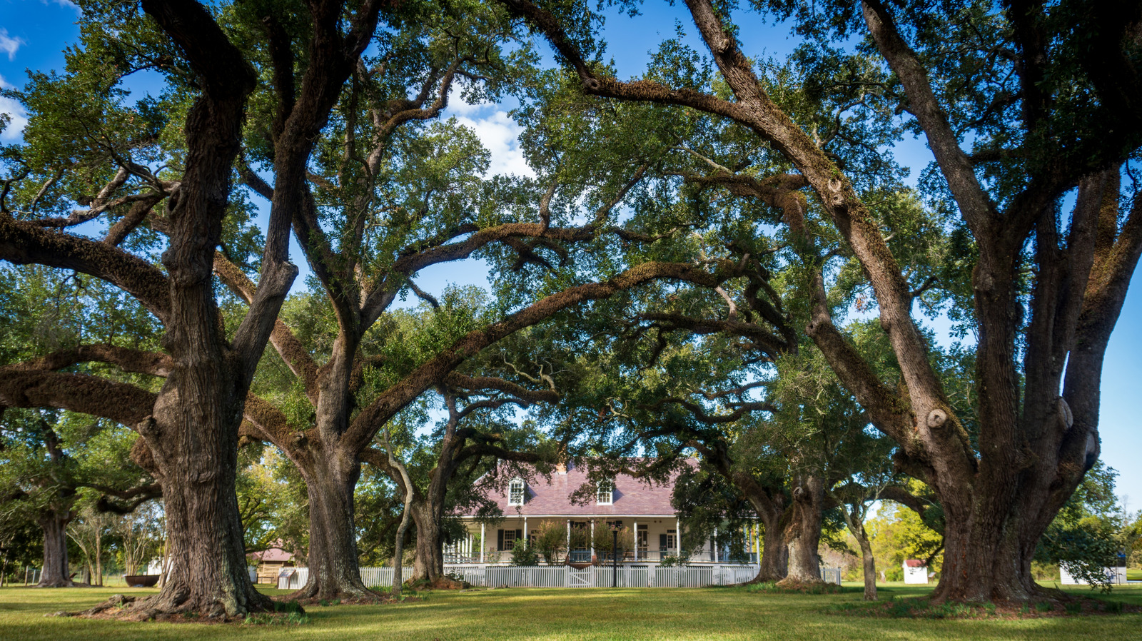 «City of Lights» de la Louisiane possède un centre-ville historique plein de charme de bayou à l'ancienne
