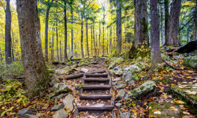 La destination la plus effrayante des montagnes fumées est une ville fantôme étrange mais magnifique