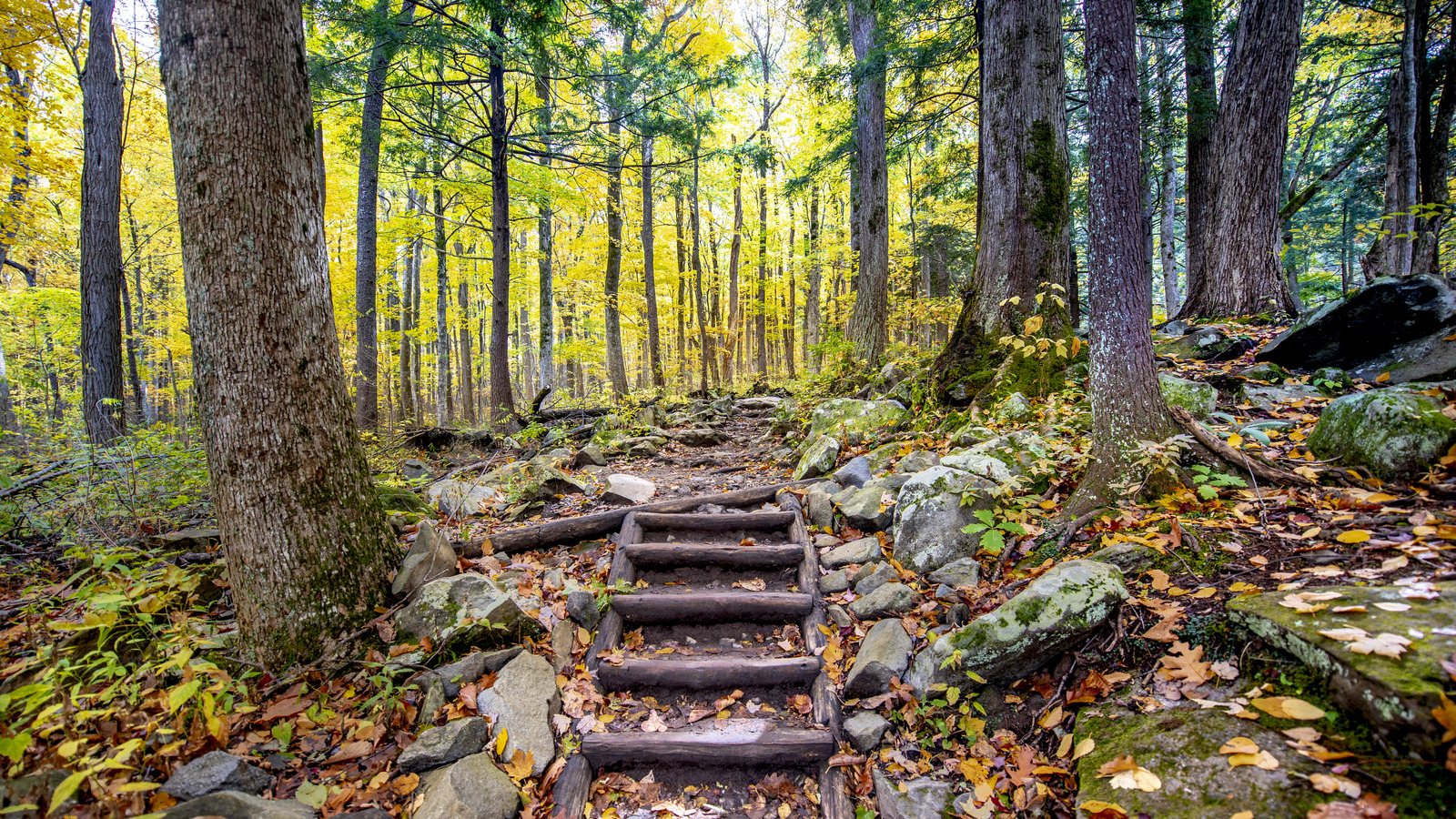 La destination la plus effrayante des montagnes fumées est une ville fantôme étrange mais magnifique