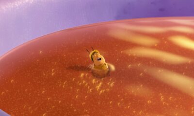 La raison pour laquelle les abeilles font du miel savoureux