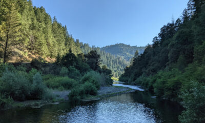 La seule forêt nationale de la Californie sans une grande route pavée offre une évasion serein et naturelle