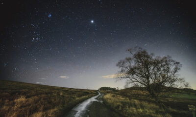 Constellations que vous ne verrez jamais dans l'hémisphère nord