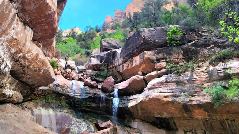 Pine Creek Waterfall dans le parc national de Zion, Utah
