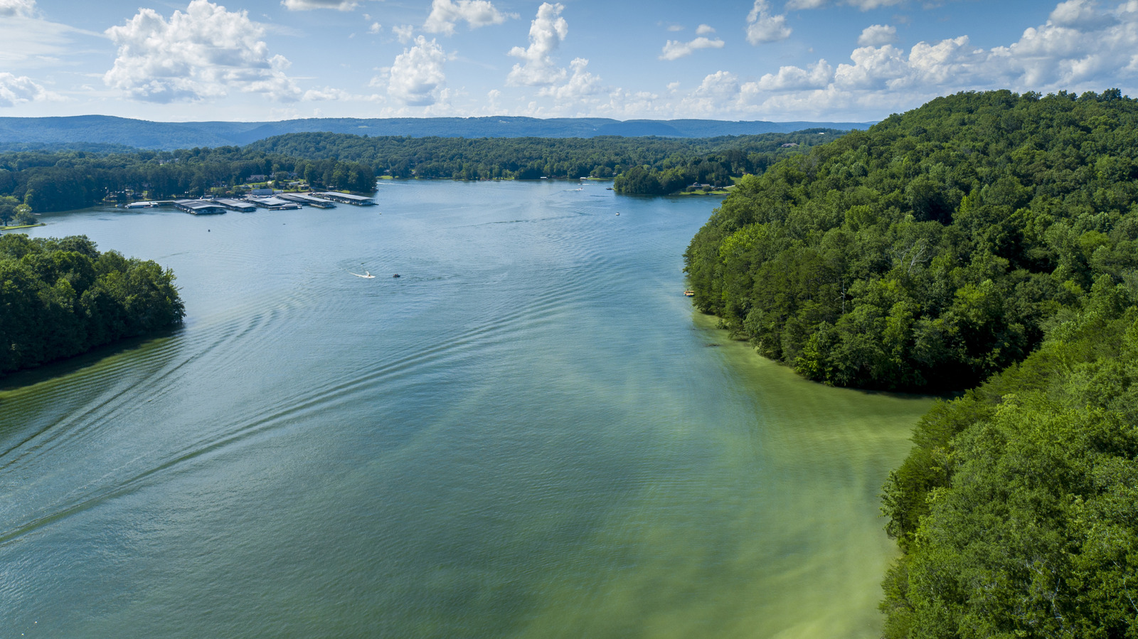 Un lac du Tennessee avec des parcs d'État touchant son rivage est un paradis pour amoureux de la nature