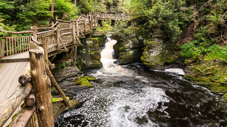 Path de pont en bois le long d'une cascade