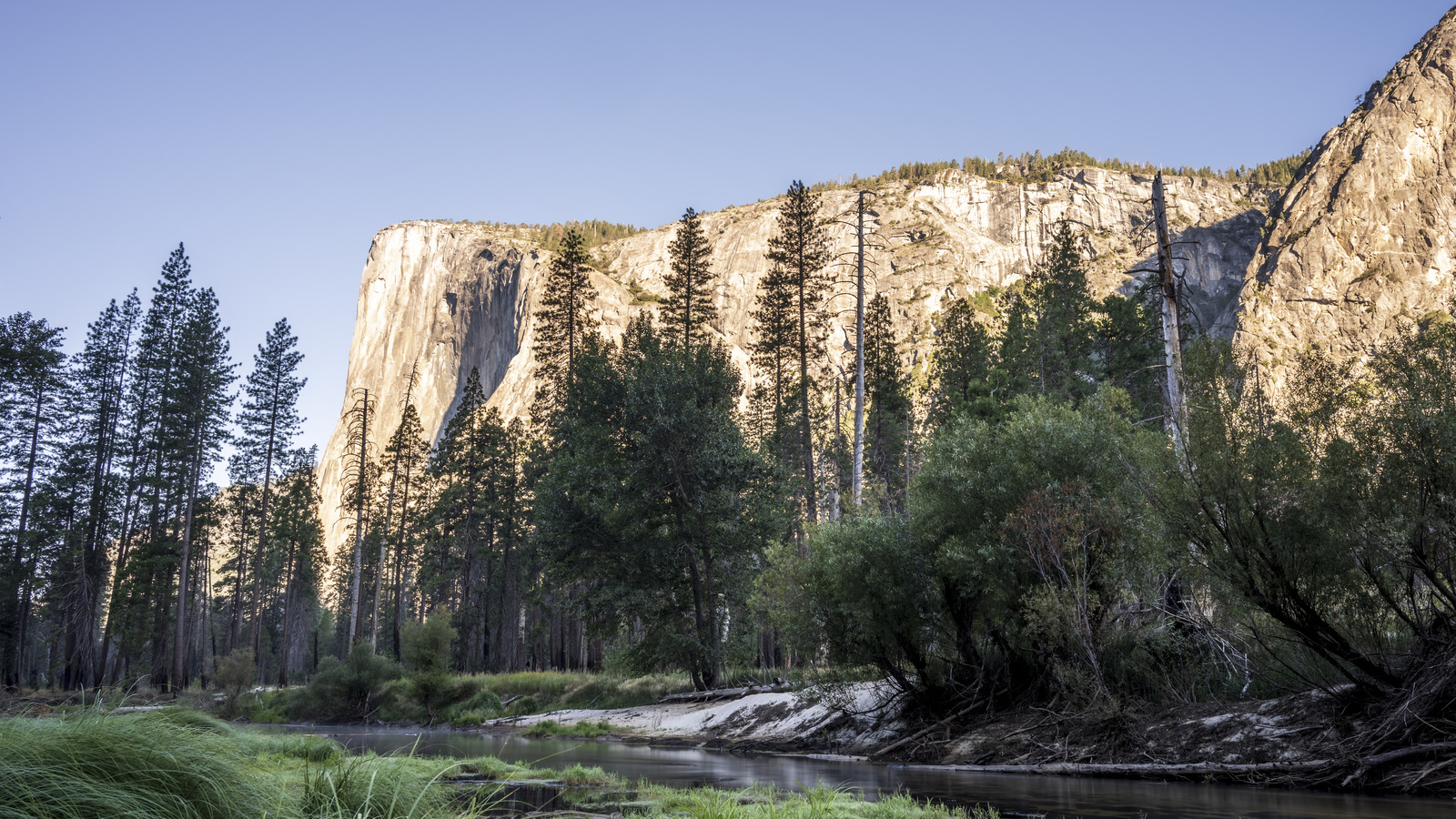 Ce que les touristes devraient savoir sur la récente mise à jour de l'article interdit du parc national de Yosemite