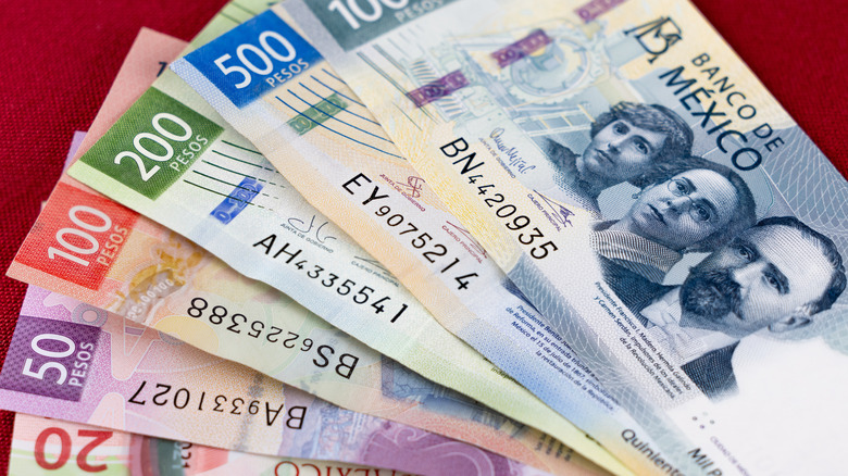 Cinq billets mexicains multicolores exposés