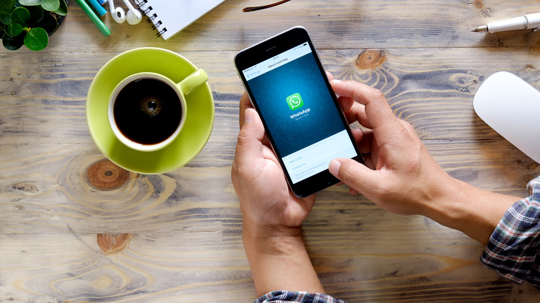 Personne utilisant WhatsApp sur un iPhone 6 Plus