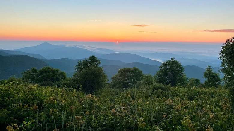 Zone de forêt noire noire surplombant les montagnes Blue Ridge pendant le lever du soleil
